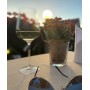 CHATEAU NEUF DU PAPE MAISON TRINTIGNANT BLANC AOC 2019  - 6
