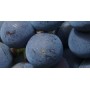 CHATEAU NEUF DU PAPE CARDINALYS ROUGE AOC 2016  - 7